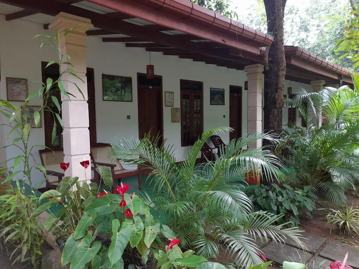 Sigiri Jungle Villa Sigiriya