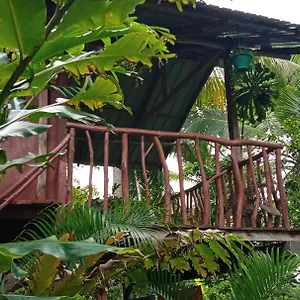 Sigiri Panaromic Tree House Farm stay