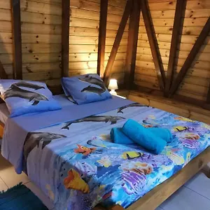 https://blue-marlin-bungalow-neuf-4-personnes.comcaribbean.com