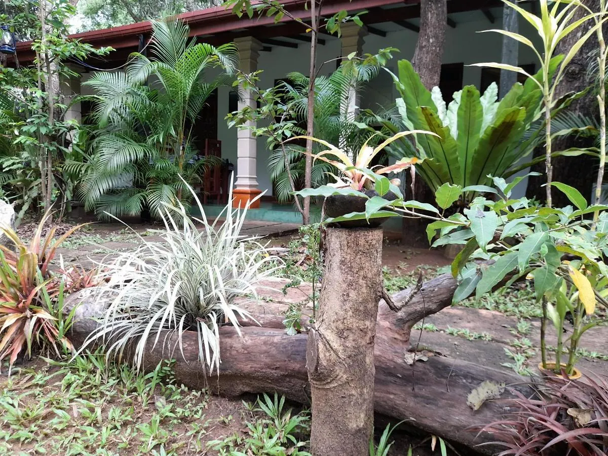 Sigiri Jungle Villa Sigiriya Alojamento de Turismo Selvagem